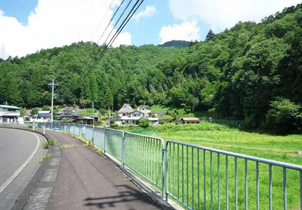 Slide 4
