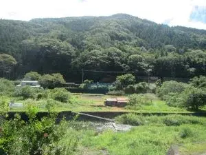 Slide 2