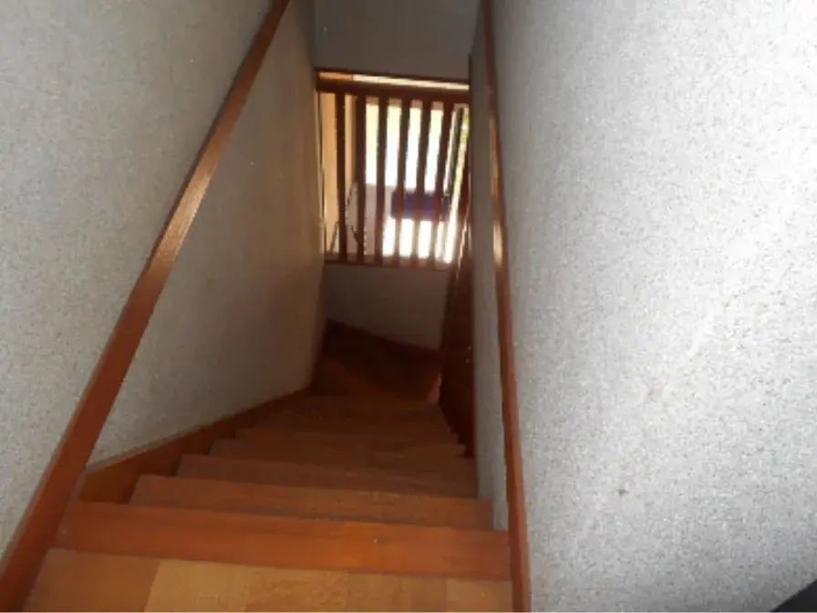 Slide 7
