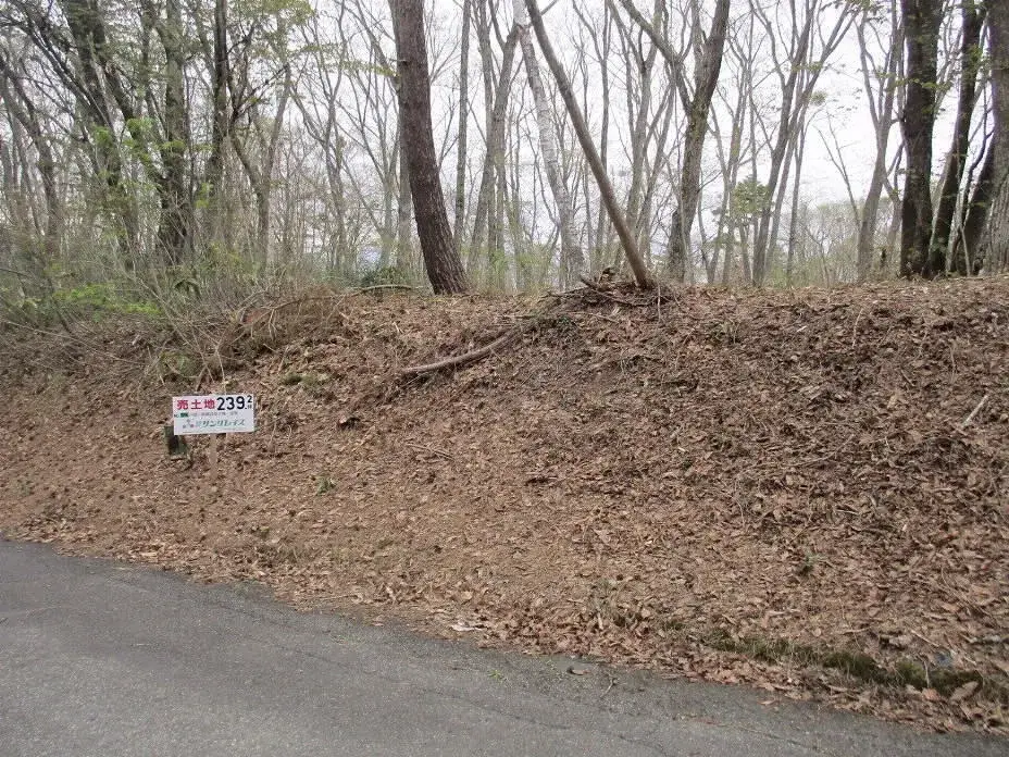 Slide 0