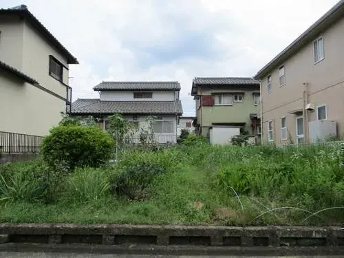 Slide 1