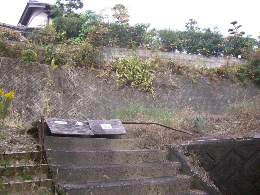 Slide 4