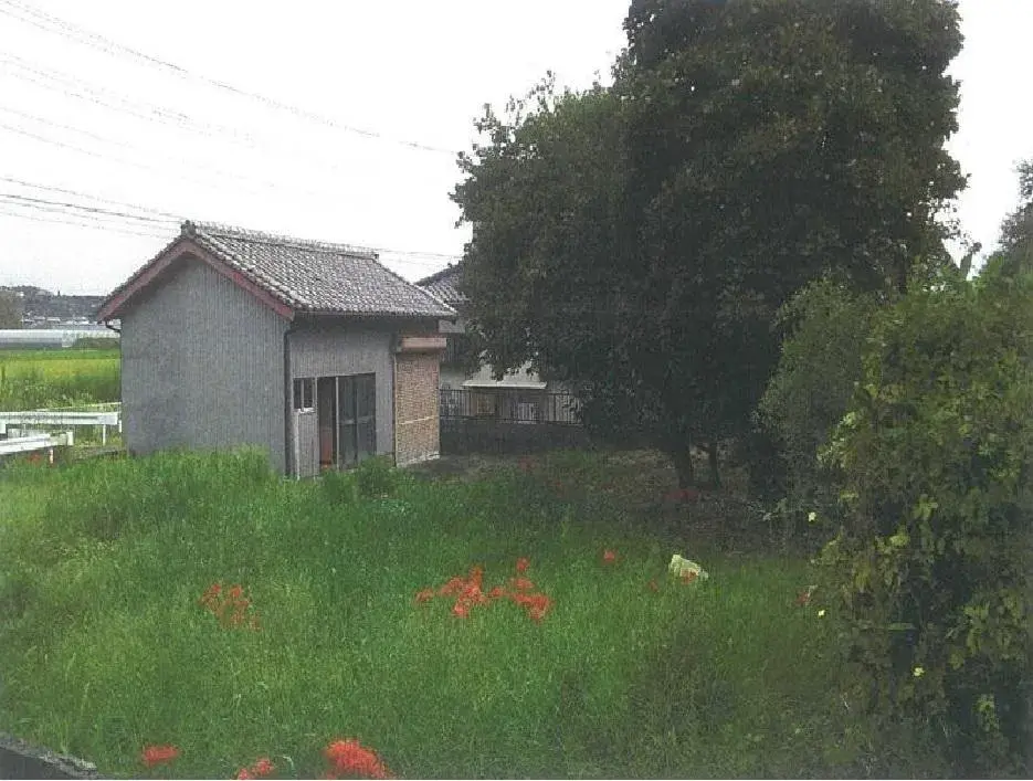 Slide 1