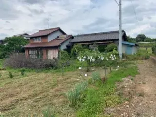 Slide 0