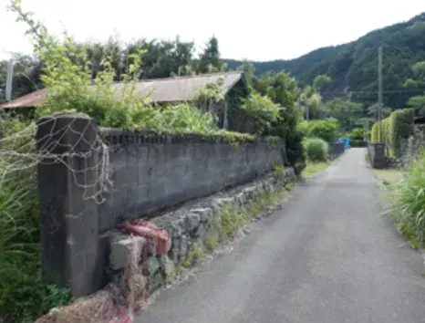 Slide 4