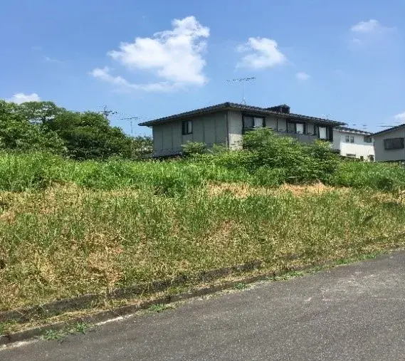 Slide 0