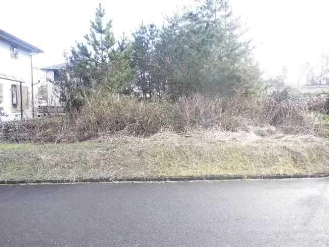 Slide 0