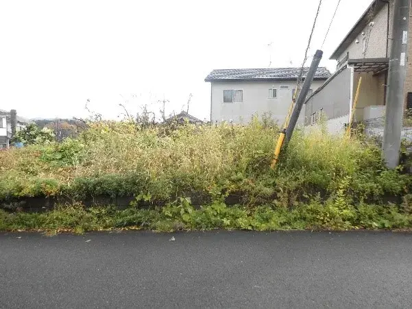 Slide 0