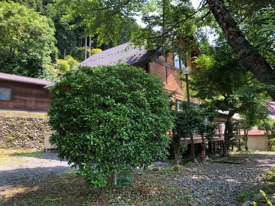 Slide 20
