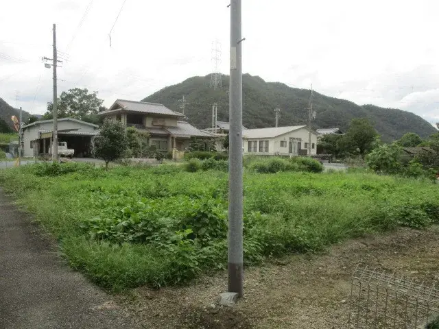 Slide 1