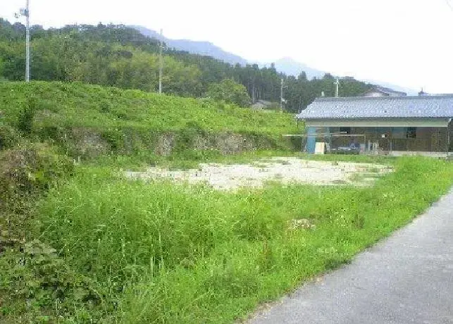 Slide 0