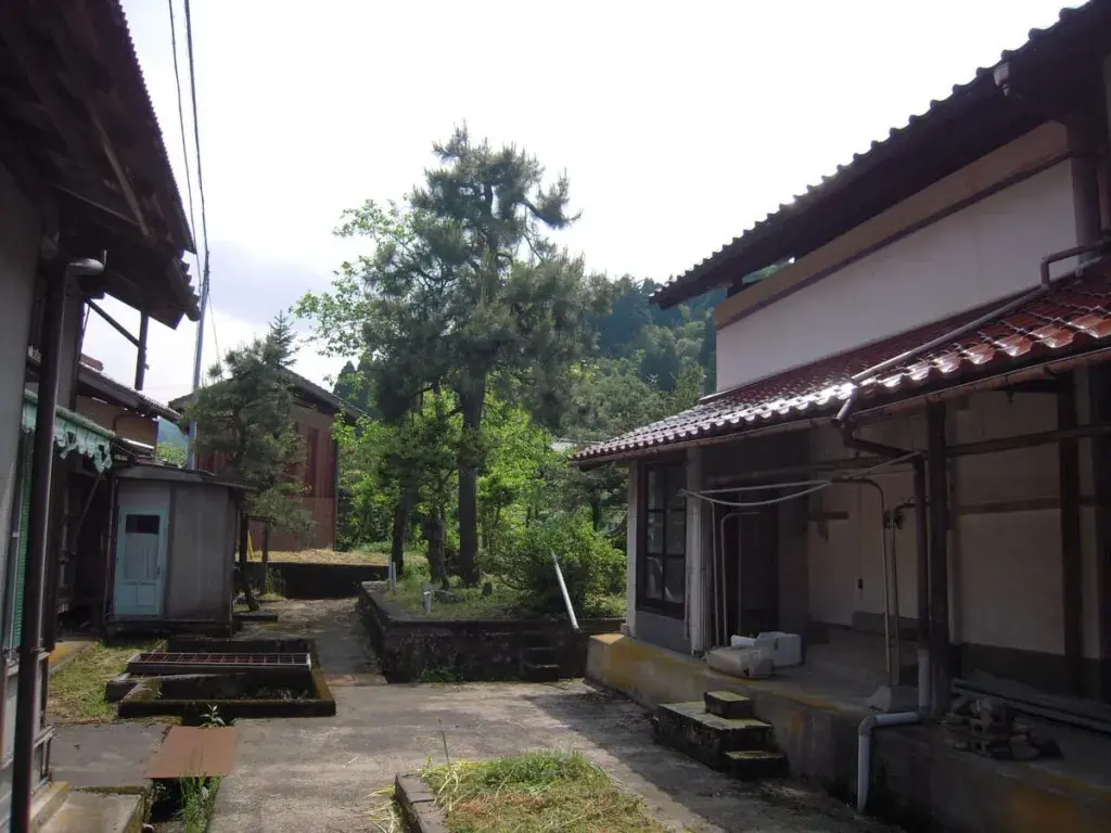 Slide 2