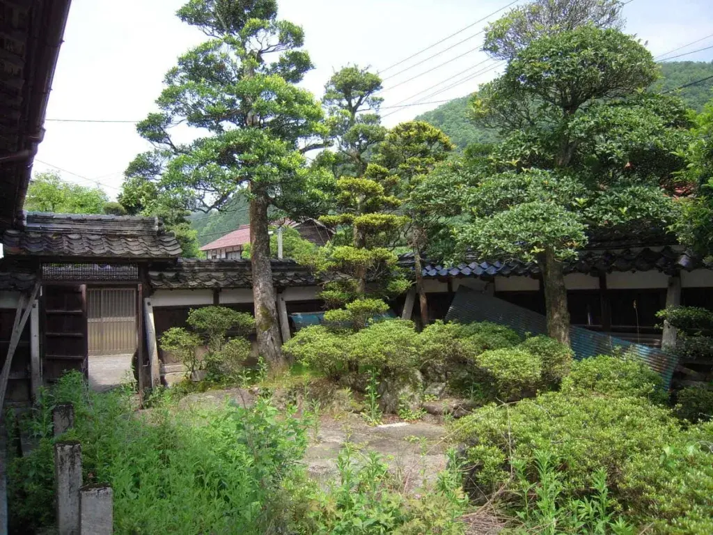 Slide 5