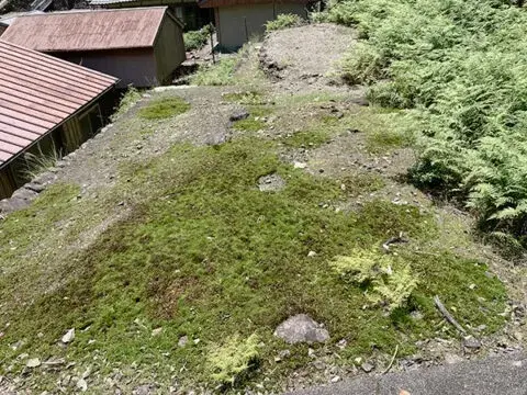 Akiya in 下北山村