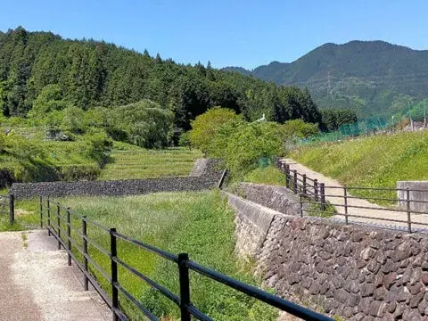 Slide 4