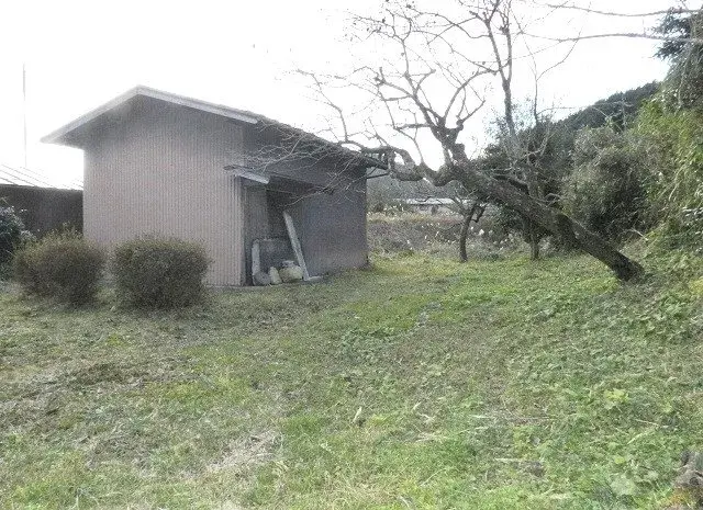 Slide 6