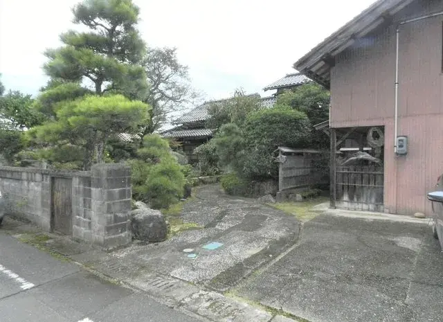 Slide 1