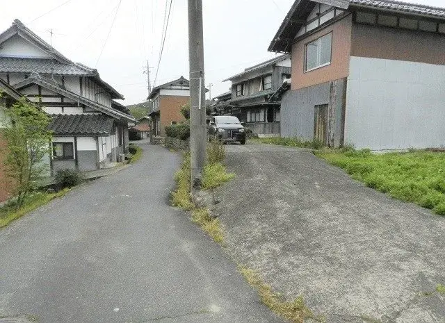 Slide 7
