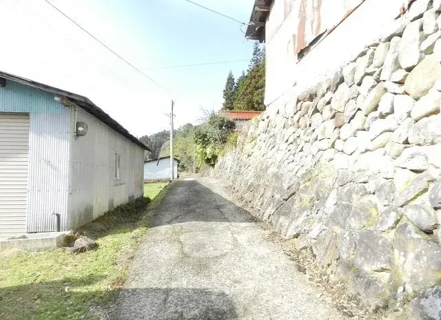 Slide 7