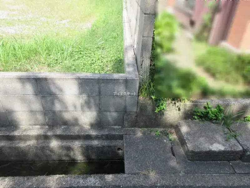 Slide 5
