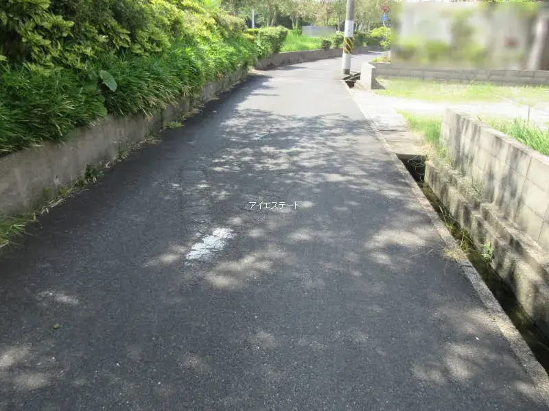 Slide 6