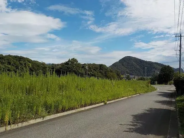Slide 0
