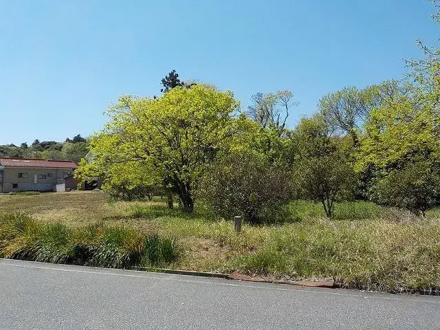 Slide 0