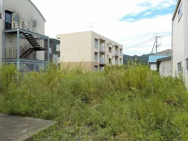 Slide 0