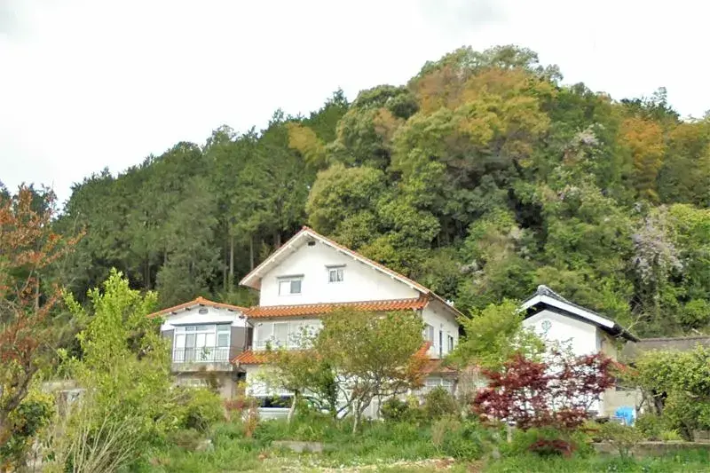 Slide 3