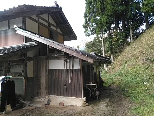 Slide 5