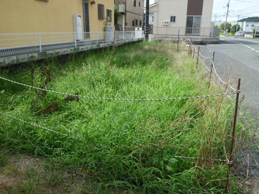 Slide 0