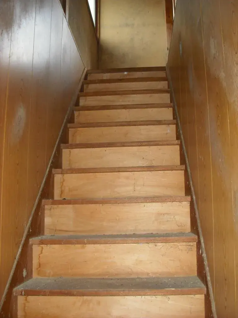 Slide 6