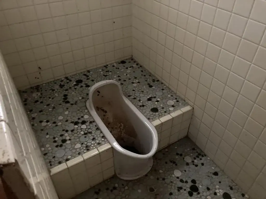 Slide 4