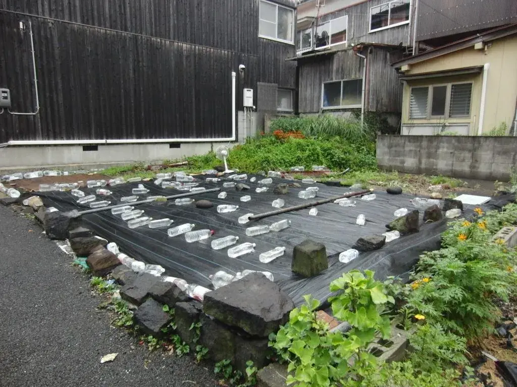 Akiya in 萩市