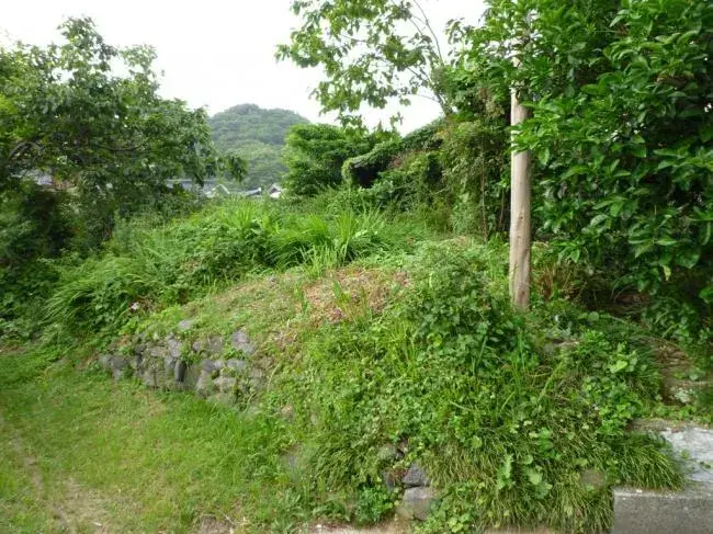 Slide 3