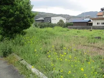 Slide 5