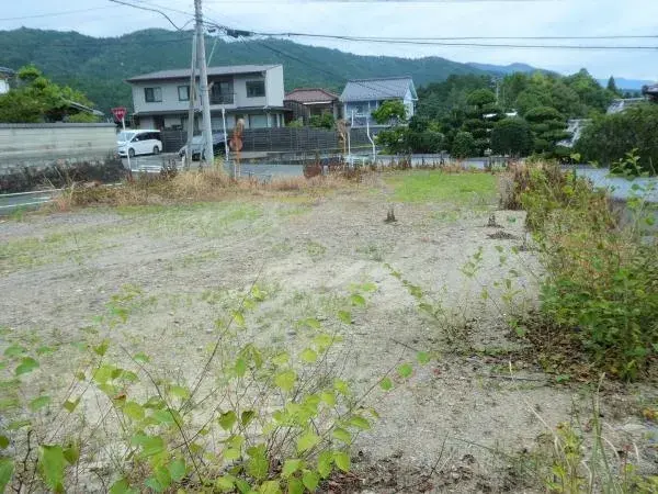 Slide 3