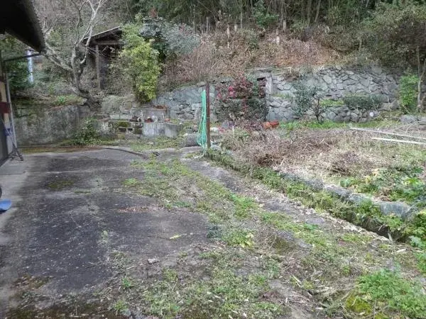 Slide 8
