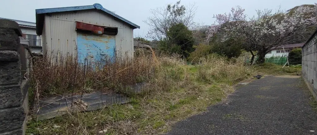 Slide 1