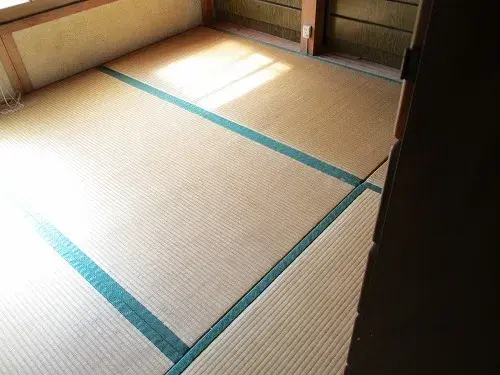 Slide 5