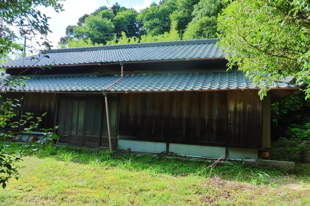 Slide 0