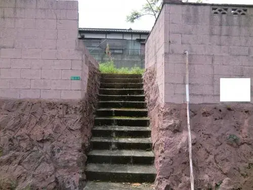 Slide 6
