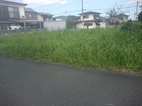 Slide 0