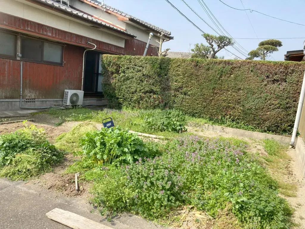 Slide 1