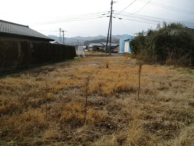 Slide 1