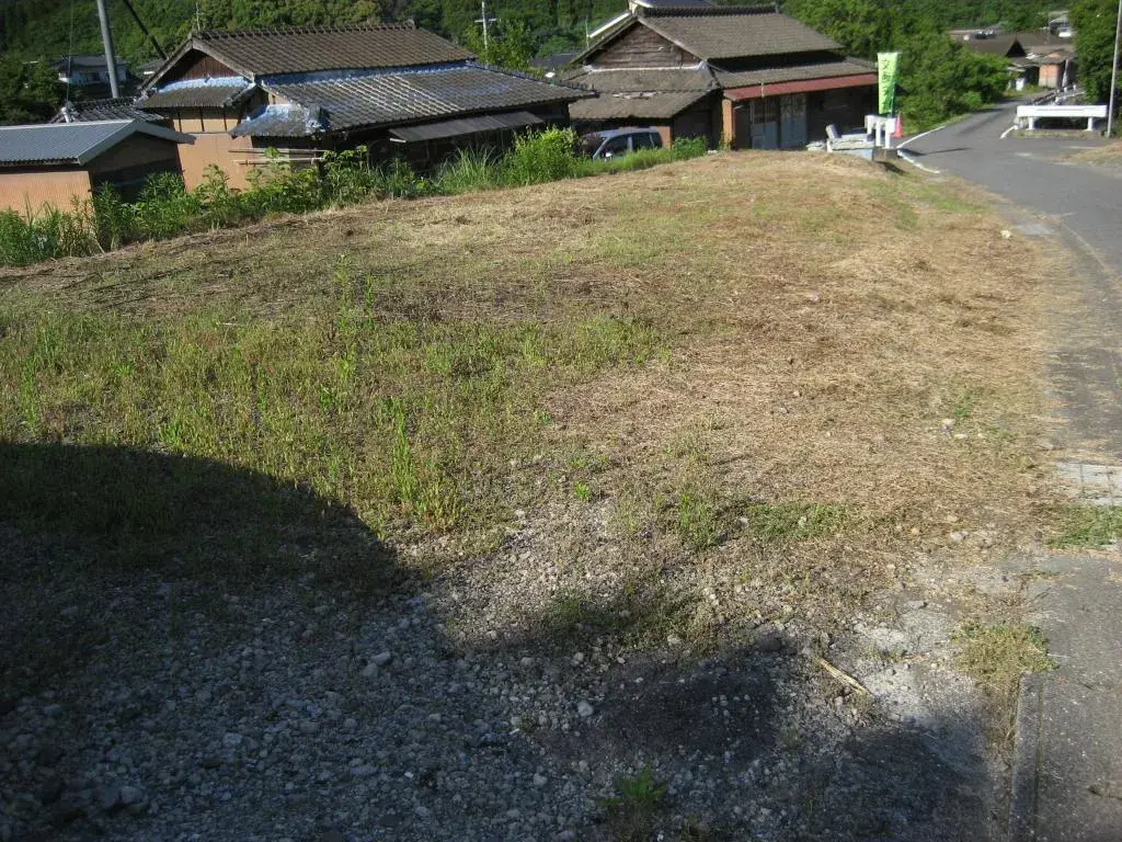 Slide 1