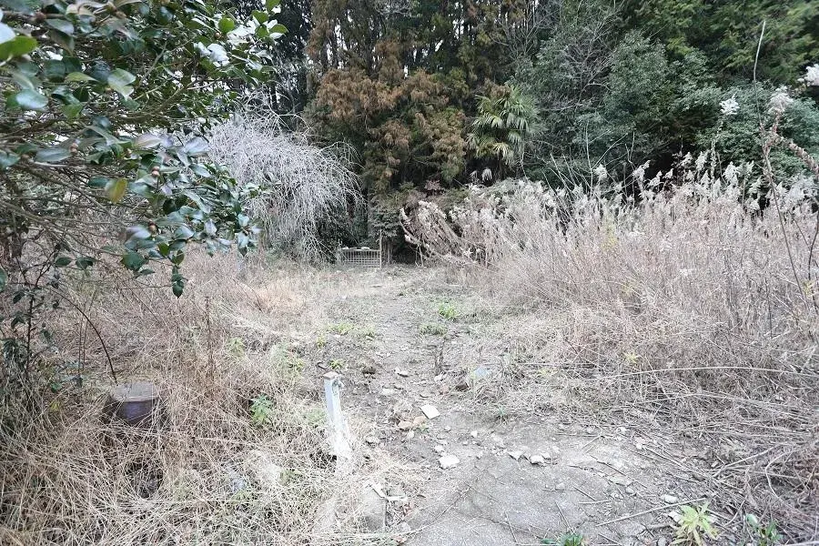 Slide 3