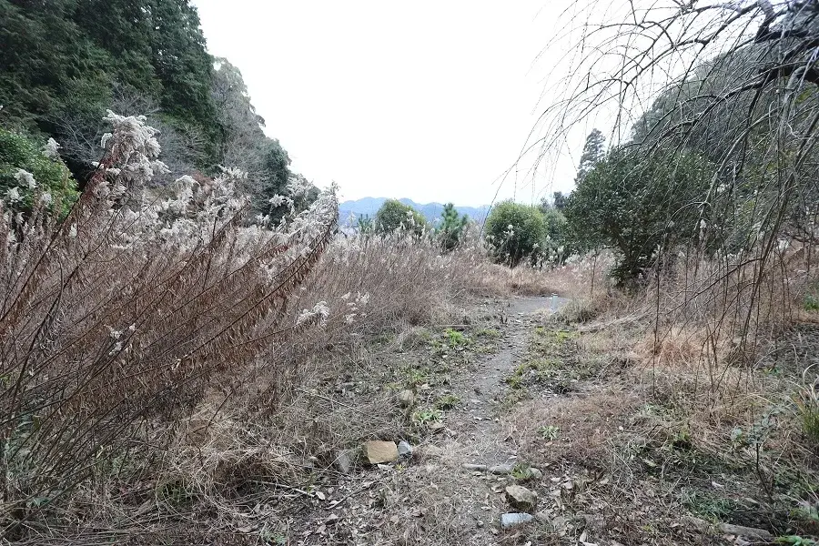 Slide 5