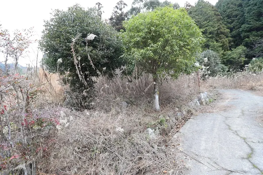 Slide 6