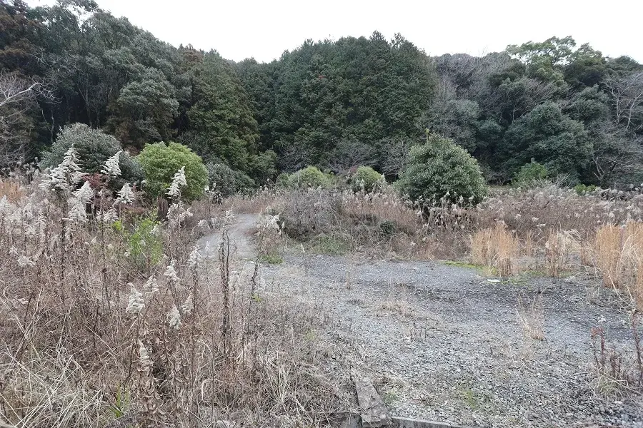 Slide 8